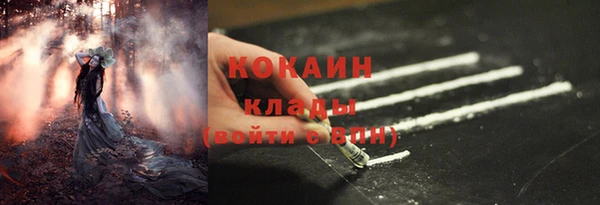шишки Аркадак
