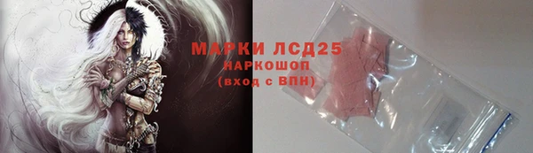шишки Аркадак