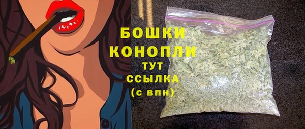 шишки Аркадак