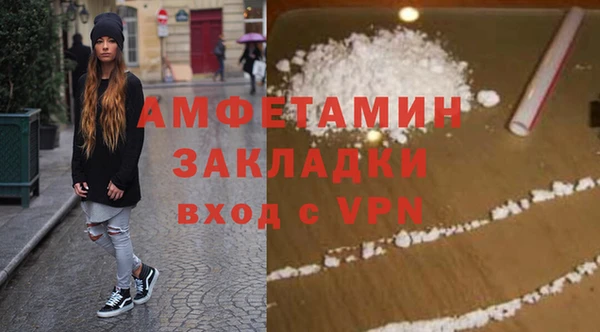 шишки Аркадак