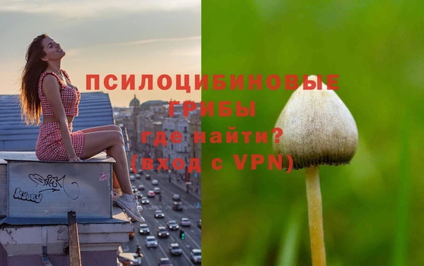 МДМА Арсеньев