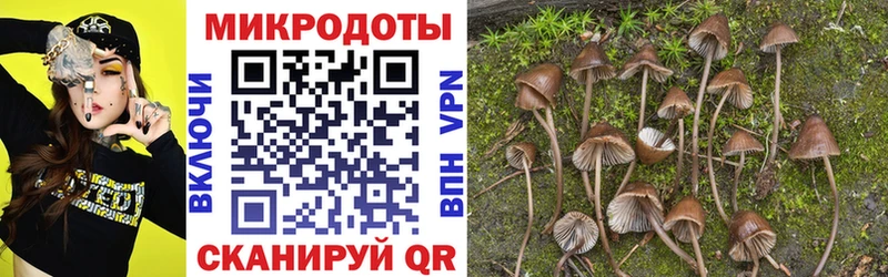 Галлюциногенные грибы прущие грибы  darknet телеграм  Собинка 